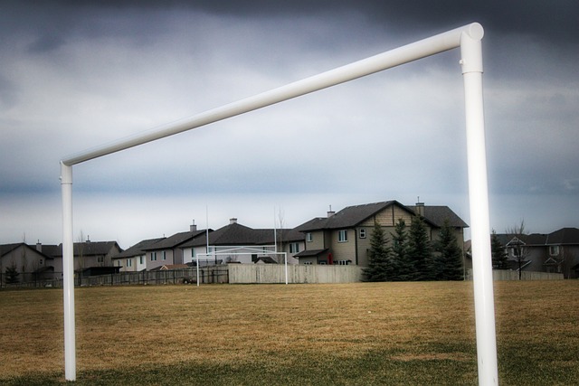 真的重返巴 真的重返巴